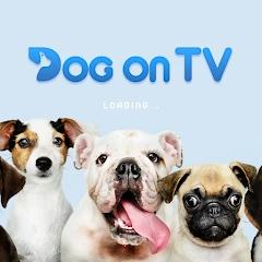 Dog TV Mod Apk [Remove ads][Mod speed]