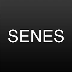 Senes Mod Apk [Mod speed]