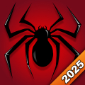 Spider Solitaire Card Game icon