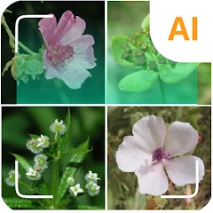 Plant identifier Mod Apk [Remove ads][Mod speed]