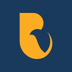Buildove