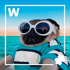 10000 words Mod Apk [Remove ads][Mod speed]