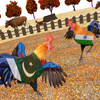 Rooster Fighting Angry Chicken Icon