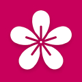 Gallery icon