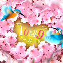 SAKURA*SAKU Live Wallpaper icon