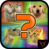 4 Resim 1 Kelime Mod Apk [Remove ads][Mod speed]
