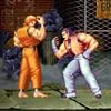 Art of Fighting Mod Apk [Remove ads][Mod speed]