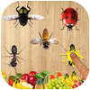 Ant Smasher 2d icon