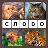 4 Картинки 1 Слово: Увлечение Mod Apk [Free purchase][Mod speed]