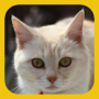 Animal Sounds APK+MOD (Remove ads)v2.0.11 Animal Sounds