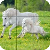 Puzzle - Beautiful Horses Mod Apk 1.25 [ازالة الاعلانات][Mod speed]