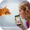 Cat Language Translator - Meow Mod Apk 