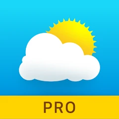 Tiempo 14 días  - Meteored Pro