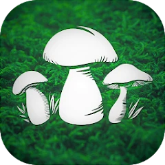 Real Mushroom Hunting Simulato Mod apk
