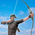 Operation Archer 3D Mod