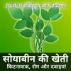 Soyabean Farming - सोयाबीन की