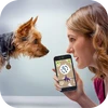 Dog Language Translator Mod Apk [Remove ads][Mod speed]