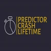 Predictor Crash Lifetime