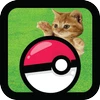 Pocket Kitten Cats GO