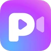 PocketReels-Mini Dramas&Shows Mod Apk [وضع الإله]