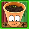 MyWeed Mod Apk 3.7 