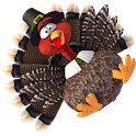 Chicken Invaders 4 Thanksgivin Icon