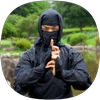 Ninjutsu Guide