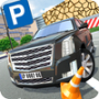 Luxury Car Parking APK+MOD (Free purchase)v2.1 Luxury Car Parking