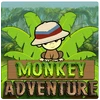 Monkey Adventure