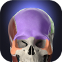 Anatomyka - 3D Anatomy Atlas APK+MOD (Unlocked)v3.2.3 Anatomyka - 3D Anatomy Atlas
