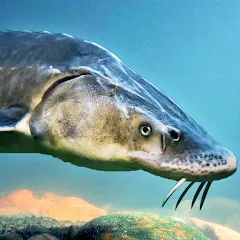 The Sturegon Mod Apk 1.2.3 [Uang yang tidak terbatas][Tak terbatas]