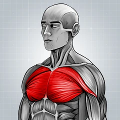 Fitness Exercises: Lightweight Mod Apk [Mod speed]