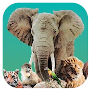 Ark Nova Mod Apk [Paid for free]