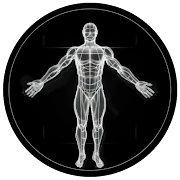BodBot AI Personal Trainer