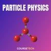 Particle Physics
