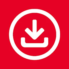 Video Downloader for Pinterest