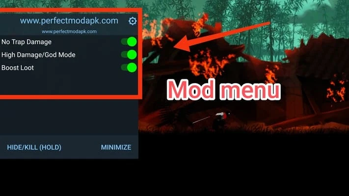 Ninja Raiden Revenge screenshots