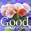 Good Morning Image Wishes Mod Apk [Remove ads][Mod speed]