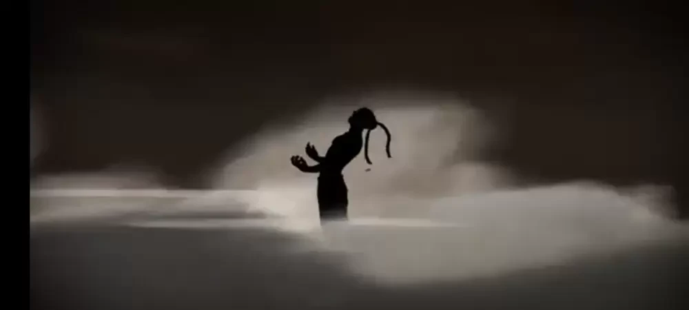 Shadow Fight 2 Special Edition