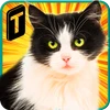 Street Cat Sim 2016 Mod apk