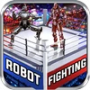 Real Robot Ring Fighting