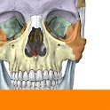 Sobotta Anatomy Mod Apk [Unlocked]