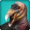 Condor Country Mod Apk [Бесконечные деньги]