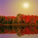 Autumn Lake Live Wallpaper Mod apk