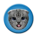 Kittens Mod Apk [Paid for free][Free purchase]