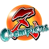 Z Champions Mod Apk [Remove ads][Unlimited money]