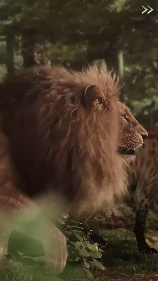 Beast Lord: The New Land