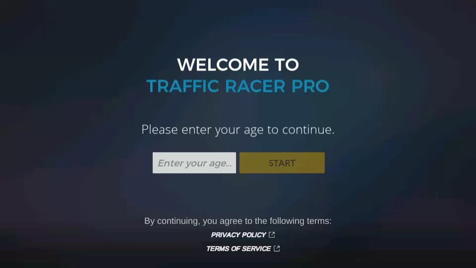 Traffic Racer Pro : Car Games