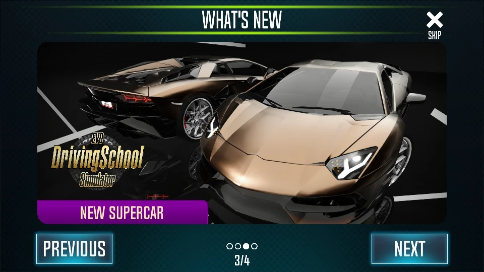 Driving School Simulator : EVO