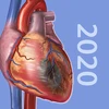 Physiology & Pathology Mod Apk 